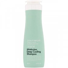 Охолоджувальний шампунь проти випадіння волосся та лупи Daeng Gi Meo Ri Look At Hair Loss Minticcino Deep Cooling Shampoo