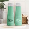 Освежающий шампунь против выпадения и перхоти Daeng Gi Meo Ri Look At Hair Loss Minticcino Deep Cooling Shampoo