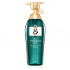 Шампунь для жирной кожи головы Ryo Cheongahmo Scalp Deep Cleansing Shampoo